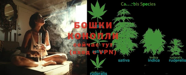 альфа пвп Новодвинск