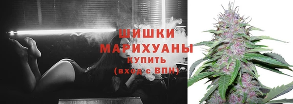 альфа пвп Новодвинск
