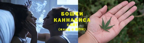 PSILOCYBIN Болотное