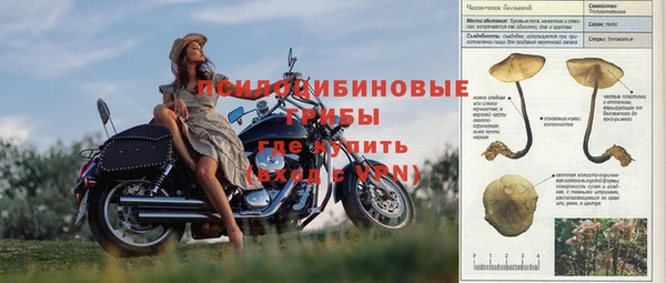 альфа пвп Новодвинск
