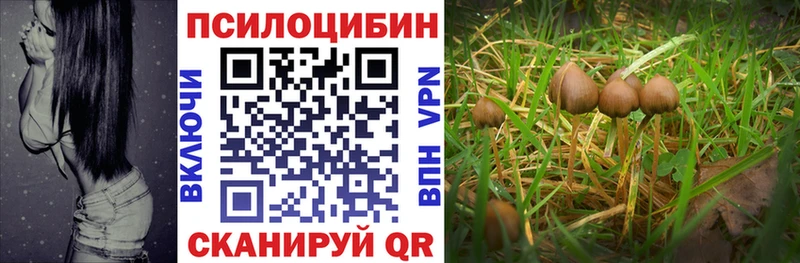 Псилоцибиновые грибы GOLDEN TEACHER  Краснокамск 