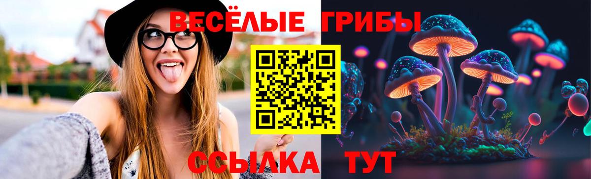Краснокамск  Галлюциногенные грибы Psilocybe  Вход с VPN 